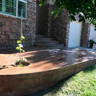 Our project